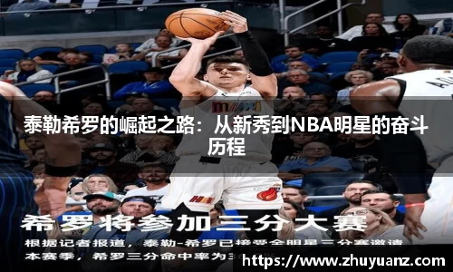 德信体育官方网站