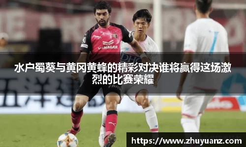 摩根综合体育